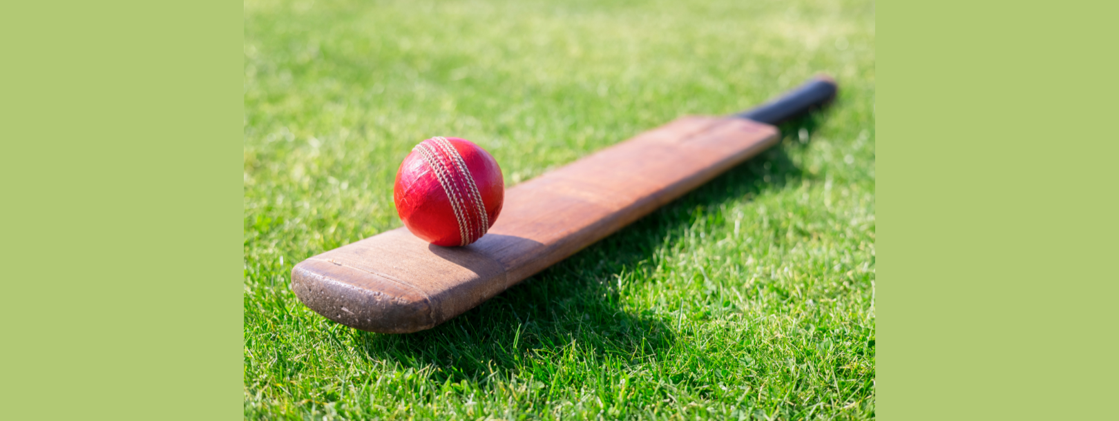 Cricket Bookings at Carvers Recreation Ground Suspended