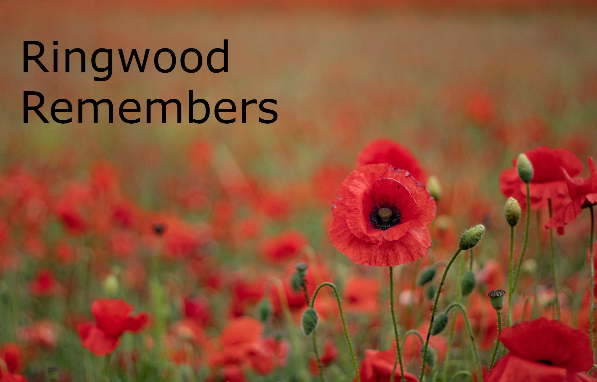 Remembrance Commemorations in Ringwood 2022